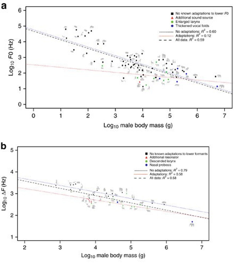 Scatter plots of call pitch and formant spacing against body mass across 72 mammal species, with species that evolved vocal adaptations marked in color, above a gallery of species silhouettes